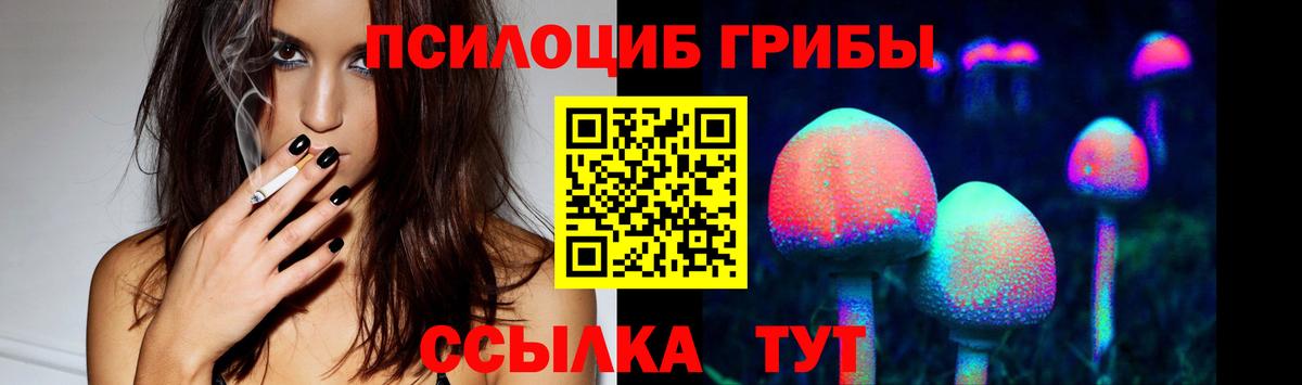Галлюциногенные грибы Cubensis  что такое наркотик  Вход с VPN  Ликино-Дулёво  Псилоцибиновые грибы Psilocybe 
